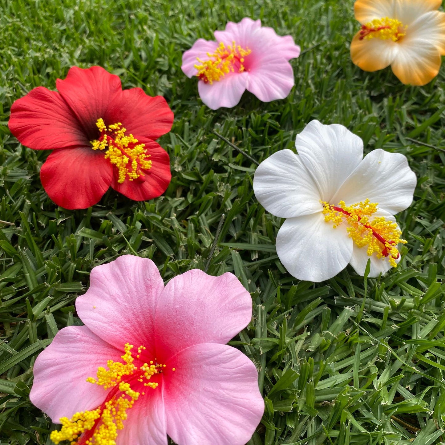Medium Hibiscus Sei Foam Flowers 8.5cm Aute Pacifika Pua - Island Aesthetica