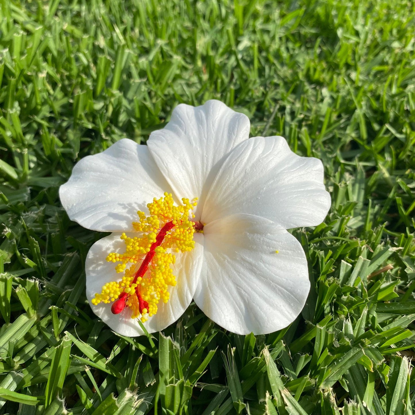 Medium Hibiscus Sei Foam Flowers 8.5cm Aute Pacifika Pua - Island Aesthetica