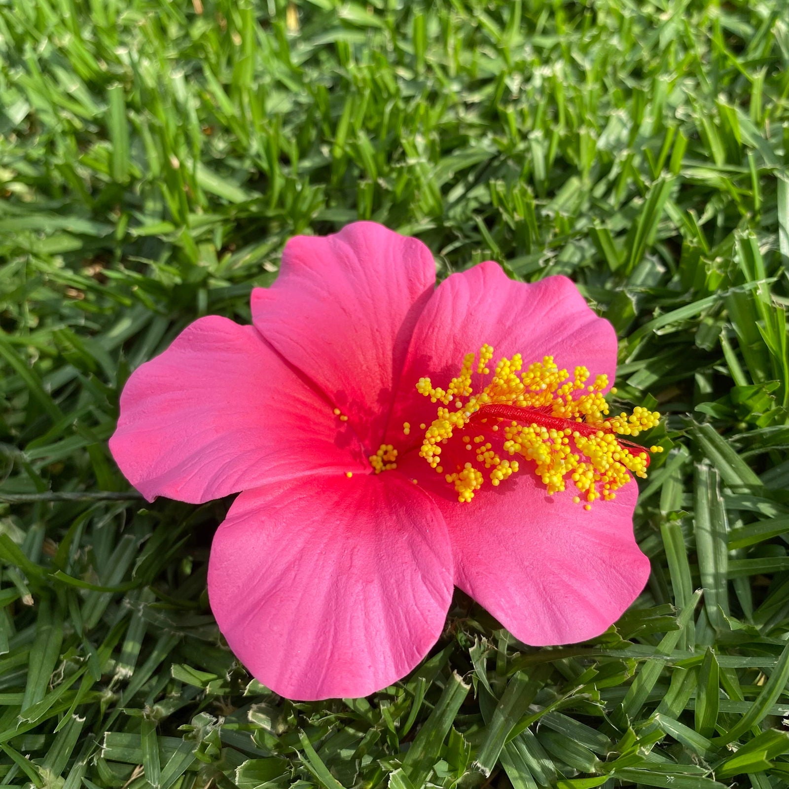 Medium Hibiscus Sei Foam Flowers 8.5cm Aute Pacifika Pua - Island Aesthetica