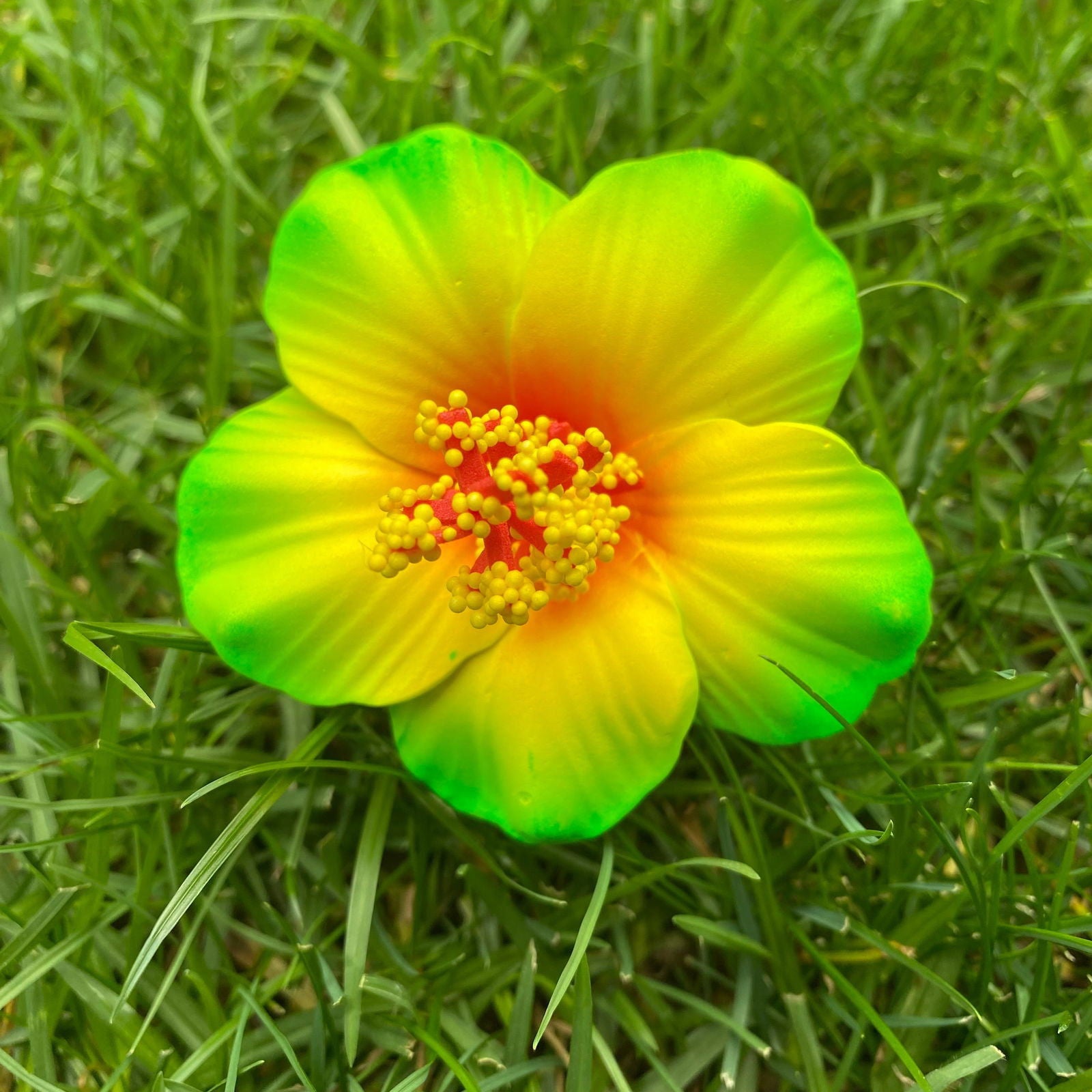 Medium Hibiscus Sei Polynesian Flowers 8cm Pollen - Island Aesthetica