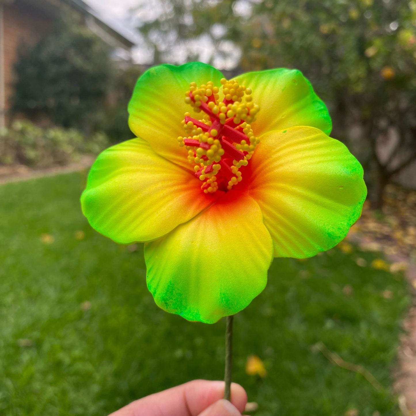 Medium Hibiscus Sei Polynesian Flowers 8cm Pollen - Island Aesthetica