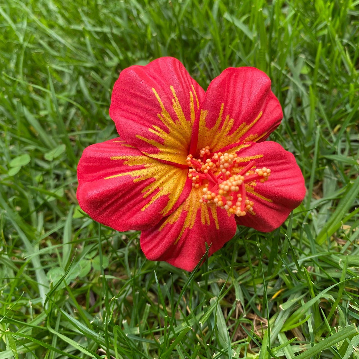 Medium Hibiscus Sei Polynesian Flowers 8cm Pollen - Island Aesthetica