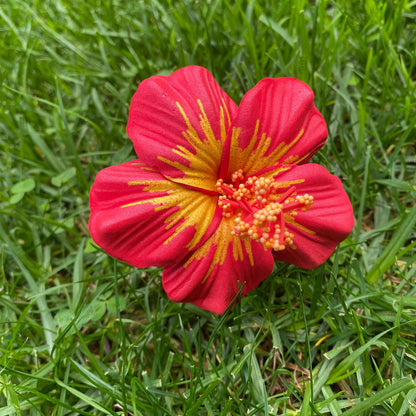 Medium Hibiscus Sei Polynesian Flowers 8cm Pollen - Island Aesthetica