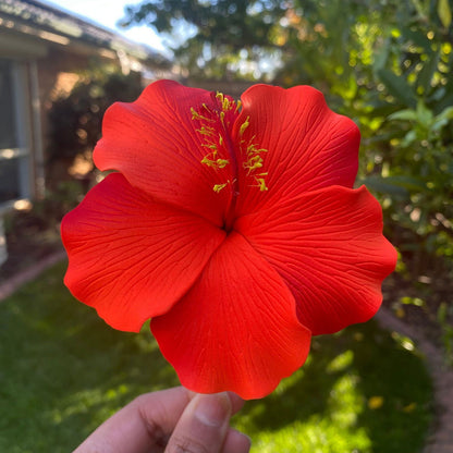 Millilani Large Hibiscus Sei Aute Hair Foam Flowers 9cm Pacifika - Island Aesthetica