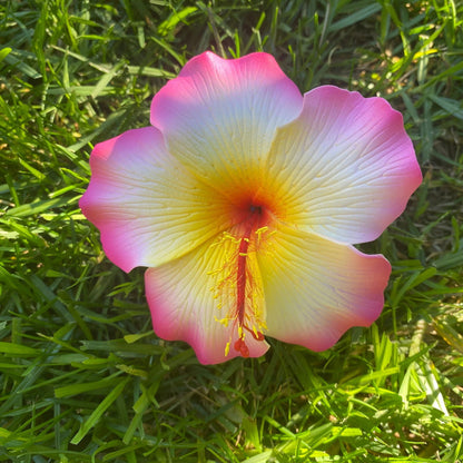 Millilani Large Hibiscus Sei Aute Hair Foam Flowers 9cm Pacifika - Island Aesthetica