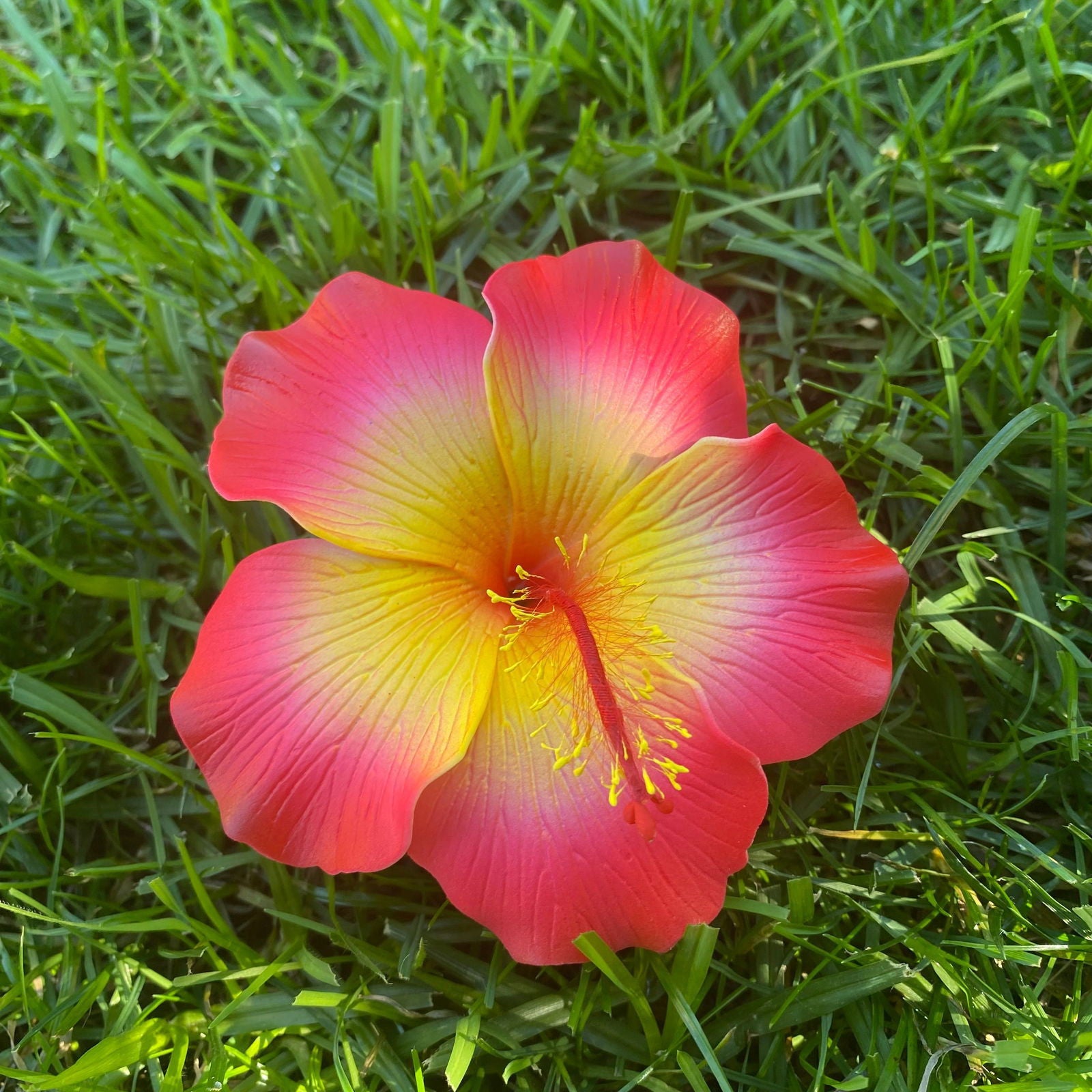 Millilani Large Hibiscus Sei Aute Hair Foam Flowers 9cm Pacifika - Island Aesthetica