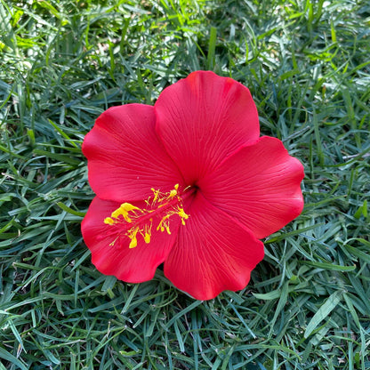 Millilani Large Hibiscus Sei Aute Hair Foam Flowers 9cm Pacifika - Island Aesthetica