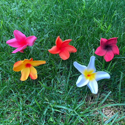 Natural Frangipani Polynesian Sei Foam Tropical Hair Flowers Large 9cm - Island Aesthetica