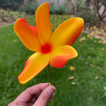 Natural Frangipani Polynesian Sei Foam Tropical Hair Flowers Large 9cm - Island Aesthetica