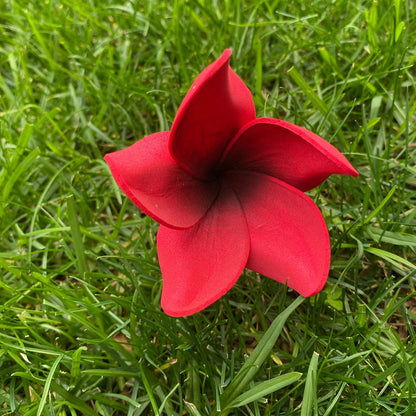 Natural Frangipani Polynesian Sei Foam Tropical Hair Flowers Large 9cm - Island Aesthetica