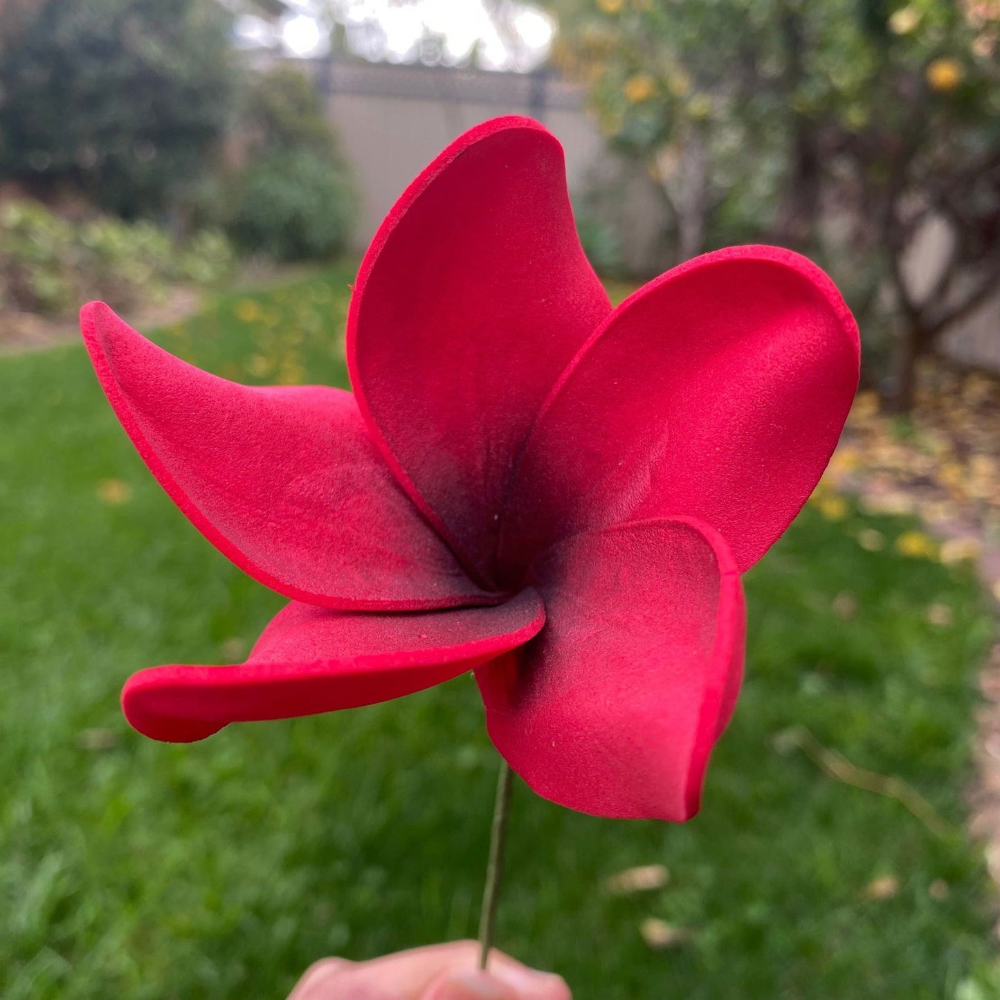 Natural Frangipani Polynesian Sei Foam Tropical Hair Flowers Large 9cm - Island Aesthetica