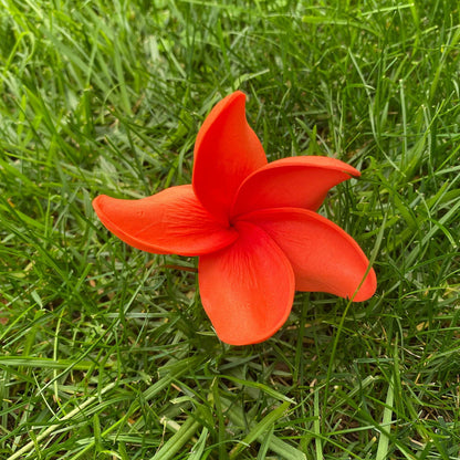 Natural Frangipani Polynesian Sei Foam Tropical Hair Flowers Large 9cm - Island Aesthetica