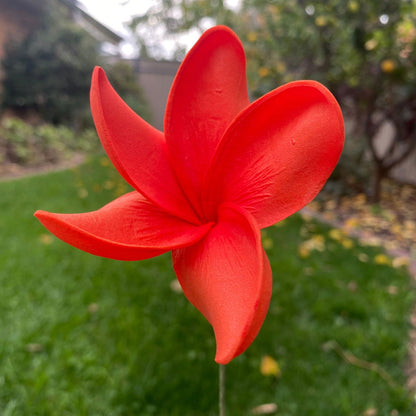 Natural Frangipani Polynesian Sei Foam Tropical Hair Flowers Large 9cm - Island Aesthetica