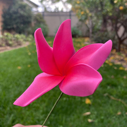 Natural Frangipani Polynesian Sei Foam Tropical Hair Flowers Large 9cm - Island Aesthetica