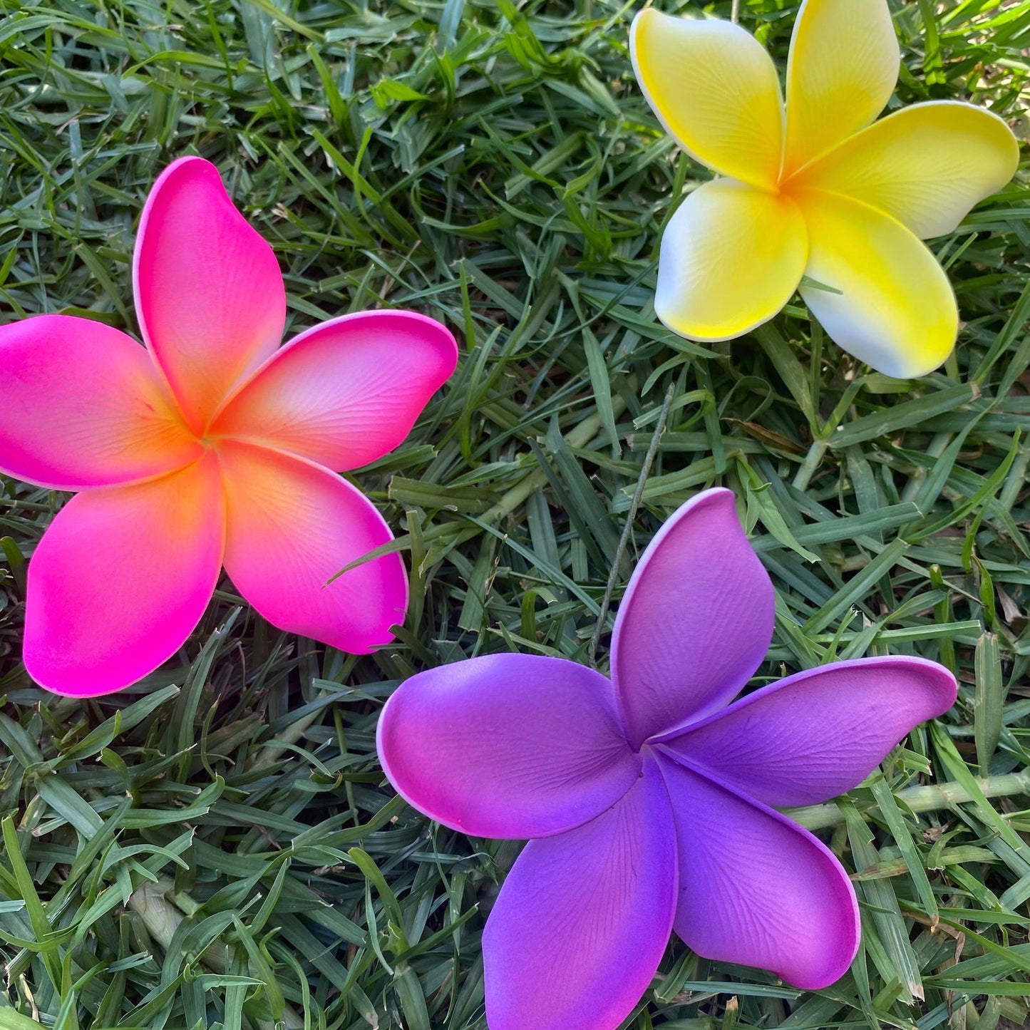 Noalofa Large Frangipani Sei Hair Flowers 11cm Tekiteki Pacific Islander Womens Accessories - Island Aesthetica