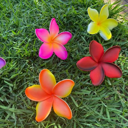 Noalofa Large Frangipani Sei Hair Flowers 11cm Tekiteki Pacific Islander Womens Accessories - Island Aesthetica