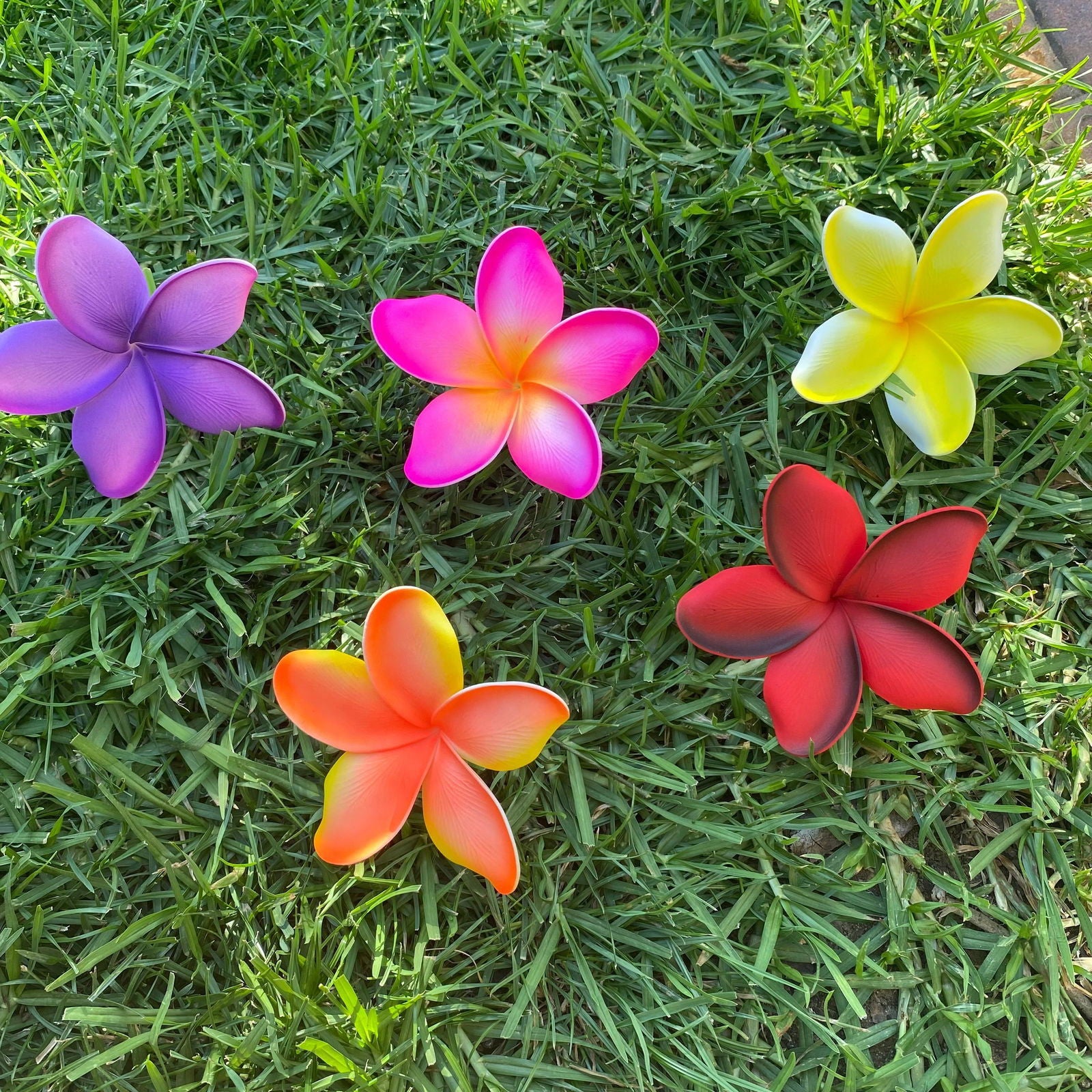 Noalofa Large Frangipani Sei Hair Flowers 11cm Tekiteki Pacific Islander Womens Accessories - Island Aesthetica