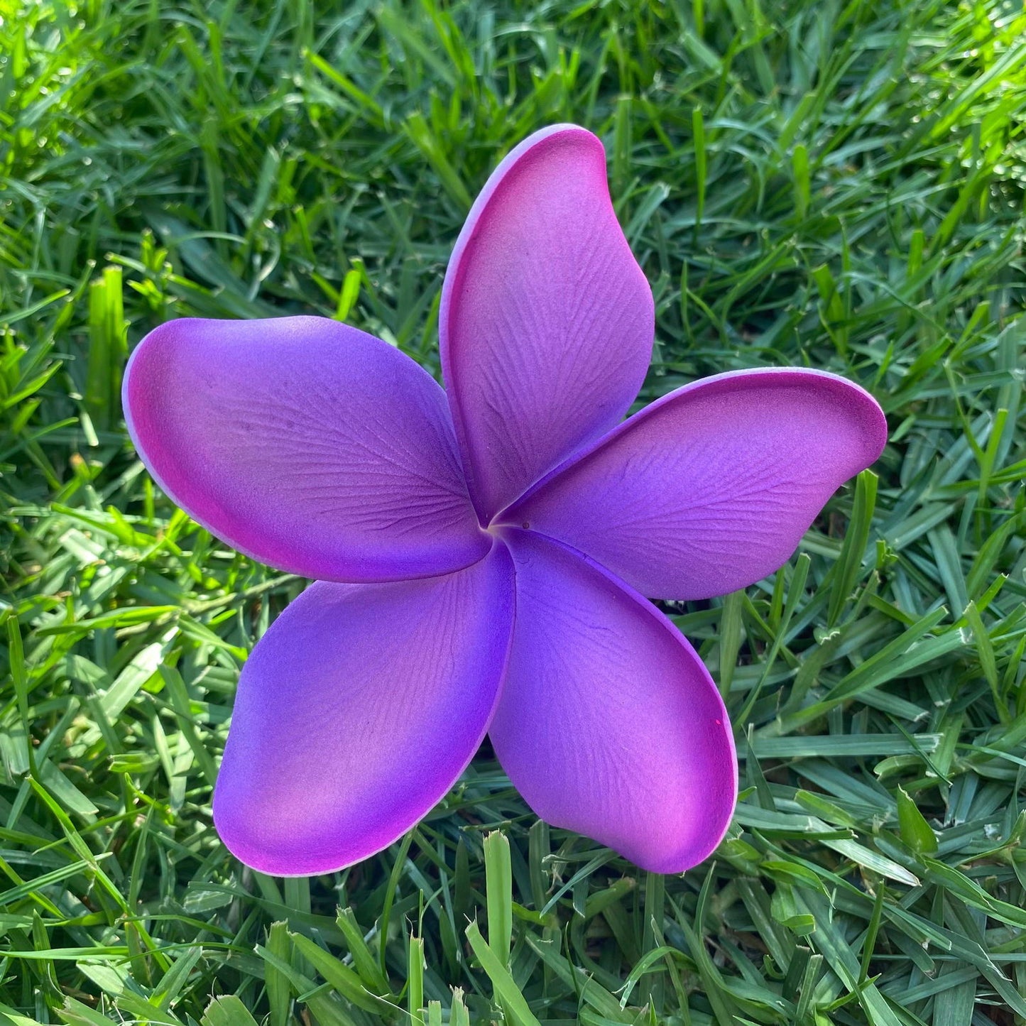 Noalofa Large Frangipani Sei Hair Flowers 11cm Tekiteki Pacific Islander Womens Accessories - Island Aesthetica