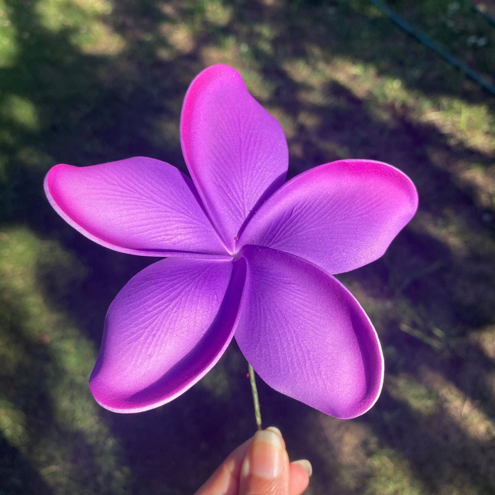 Noalofa Large Frangipani Sei Hair Flowers 11cm Tekiteki Pacific Islander Womens Accessories - Island Aesthetica