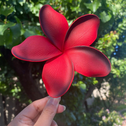 Noalofa Large Frangipani Sei Hair Flowers 11cm Tekiteki Pacific Islander Womens Accessories - Island Aesthetica