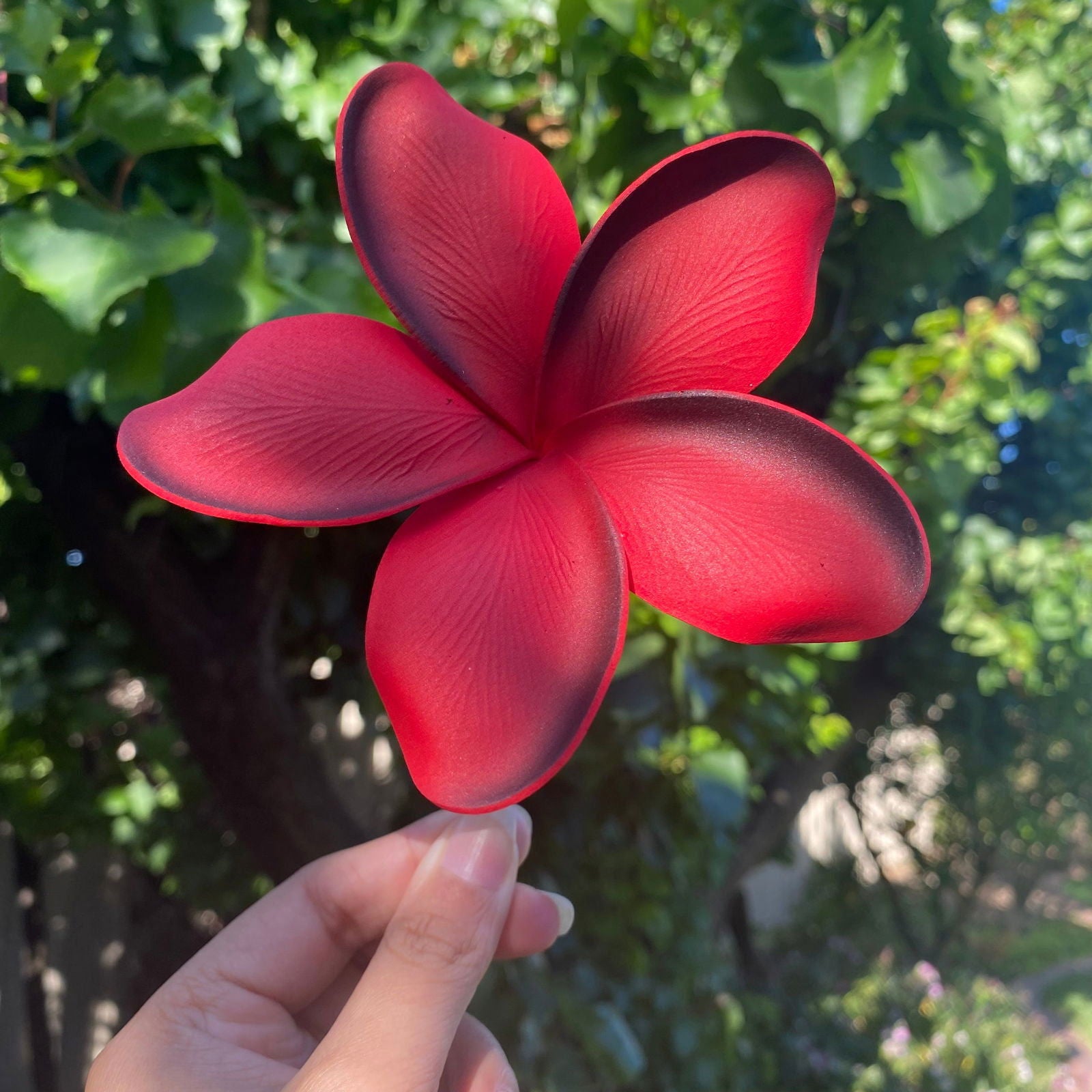 Noalofa Large Frangipani Sei Hair Flowers 11cm Tekiteki Pacific Islander Womens Accessories - Island Aesthetica