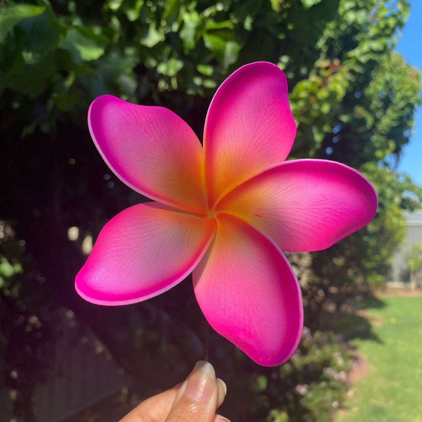 Noalofa Large Frangipani Sei Hair Flowers 11cm Tekiteki Pacific Islander Womens Accessories - Island Aesthetica
