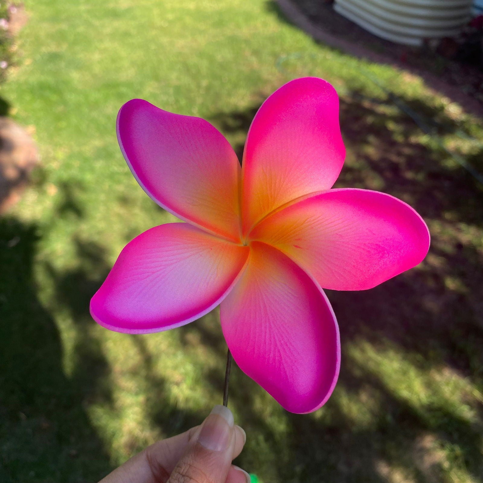 Noalofa Large Frangipani Sei Hair Flowers 11cm Tekiteki Pacific Islander Womens Accessories - Island Aesthetica