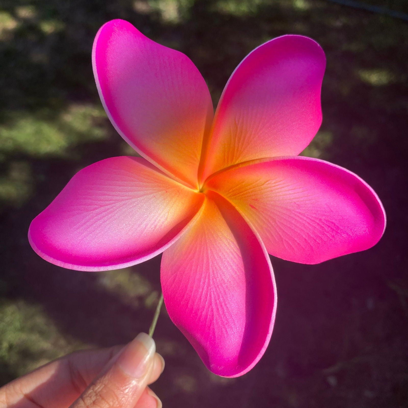 Noalofa Large Frangipani Sei Hair Flowers 11cm Tekiteki Pacific Islander Womens Accessories - Island Aesthetica