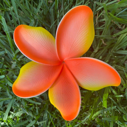 Noalofa Large Frangipani Sei Hair Flowers 11cm Tekiteki Pacific Islander Womens Accessories - Island Aesthetica