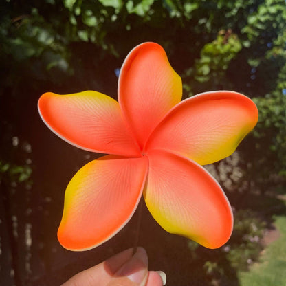 Noalofa Large Frangipani Sei Hair Flowers 11cm Tekiteki Pacific Islander Womens Accessories - Island Aesthetica