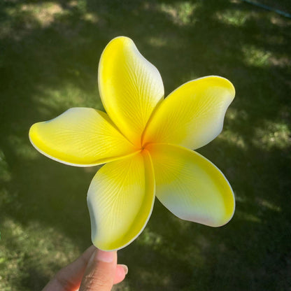 Noalofa Large Frangipani Sei Hair Flowers 11cm Tekiteki Pacific Islander Womens Accessories - Island Aesthetica