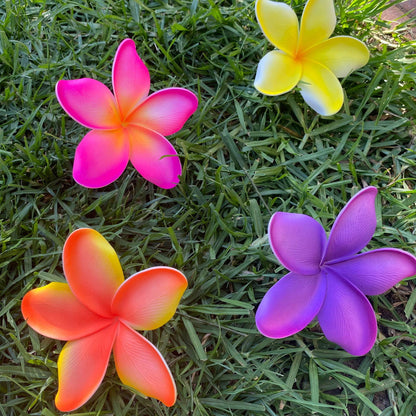 Noalofa Large Frangipani Sei Hair Flowers 11cm Tekiteki Pacific Islander Womens Accessories - Island Aesthetica