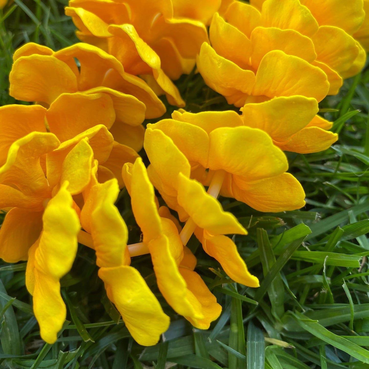 Premium Mini Hibiscus Lei 40cm Hawaiian Luau - Island Aesthetica