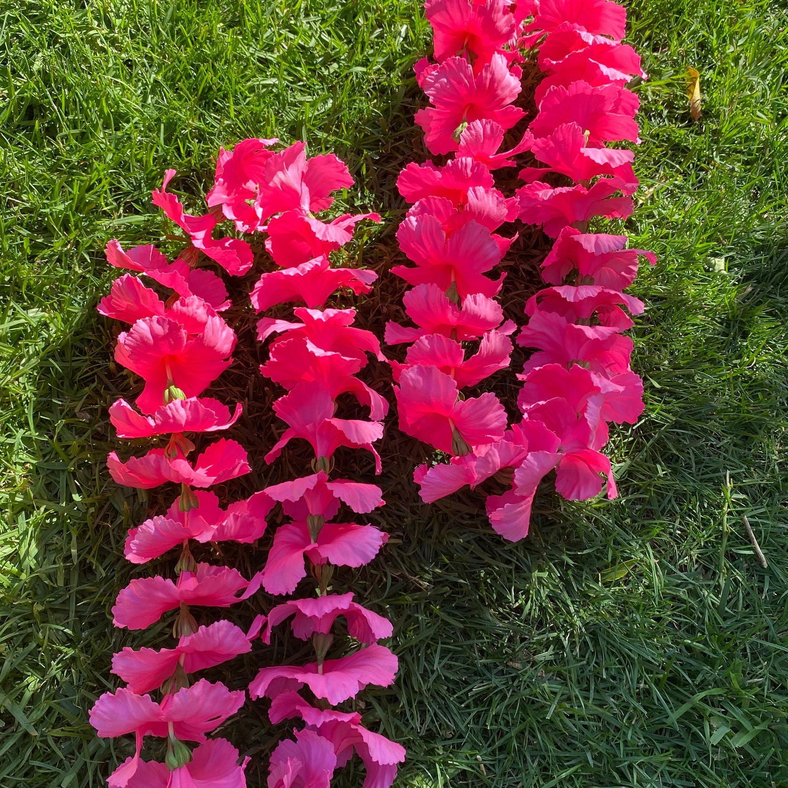 Premium Pink Hibiscus Lei 30cm Hawaiian Luau - Island Aesthetica