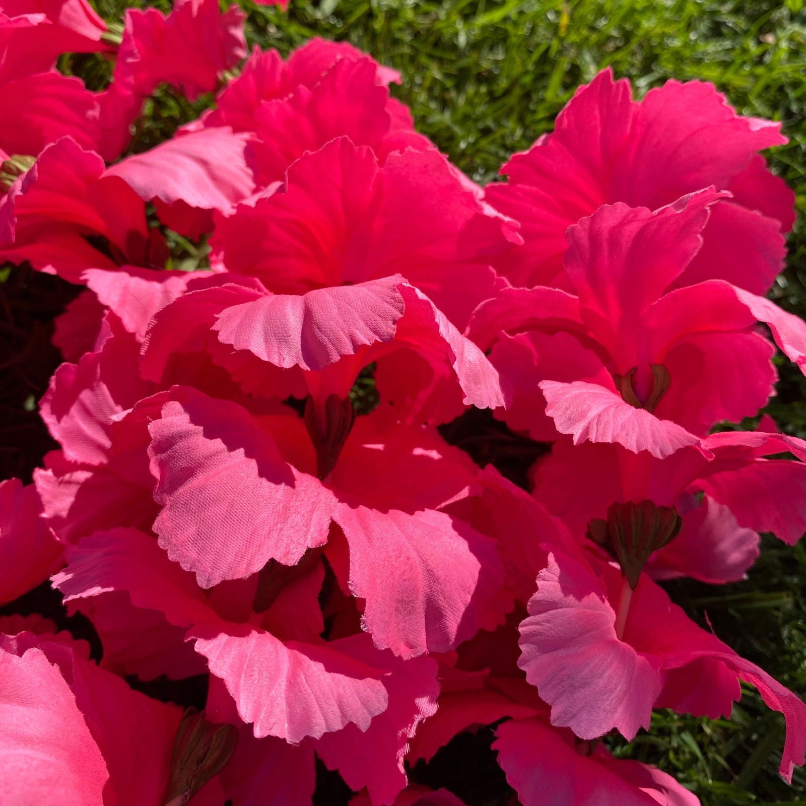 Premium Pink Hibiscus Lei 30cm Hawaiian Luau - Island Aesthetica