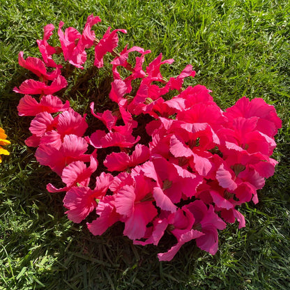 Premium Pink Hibiscus Lei 30cm Hawaiian Luau - Island Aesthetica