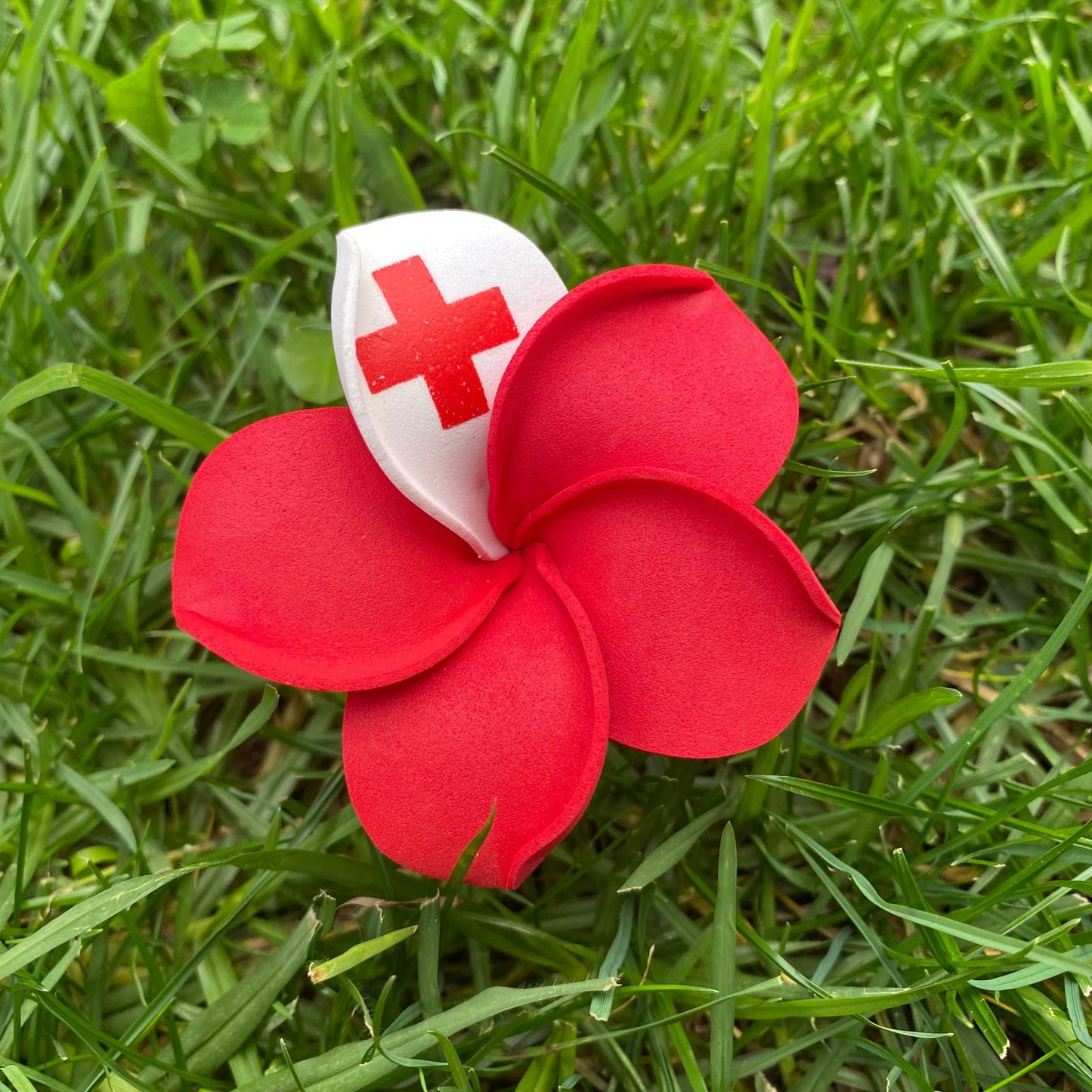 Samoan & Tongan Flag Frangipani Small Sei Flowers #product_variant# - Island Aesthetica