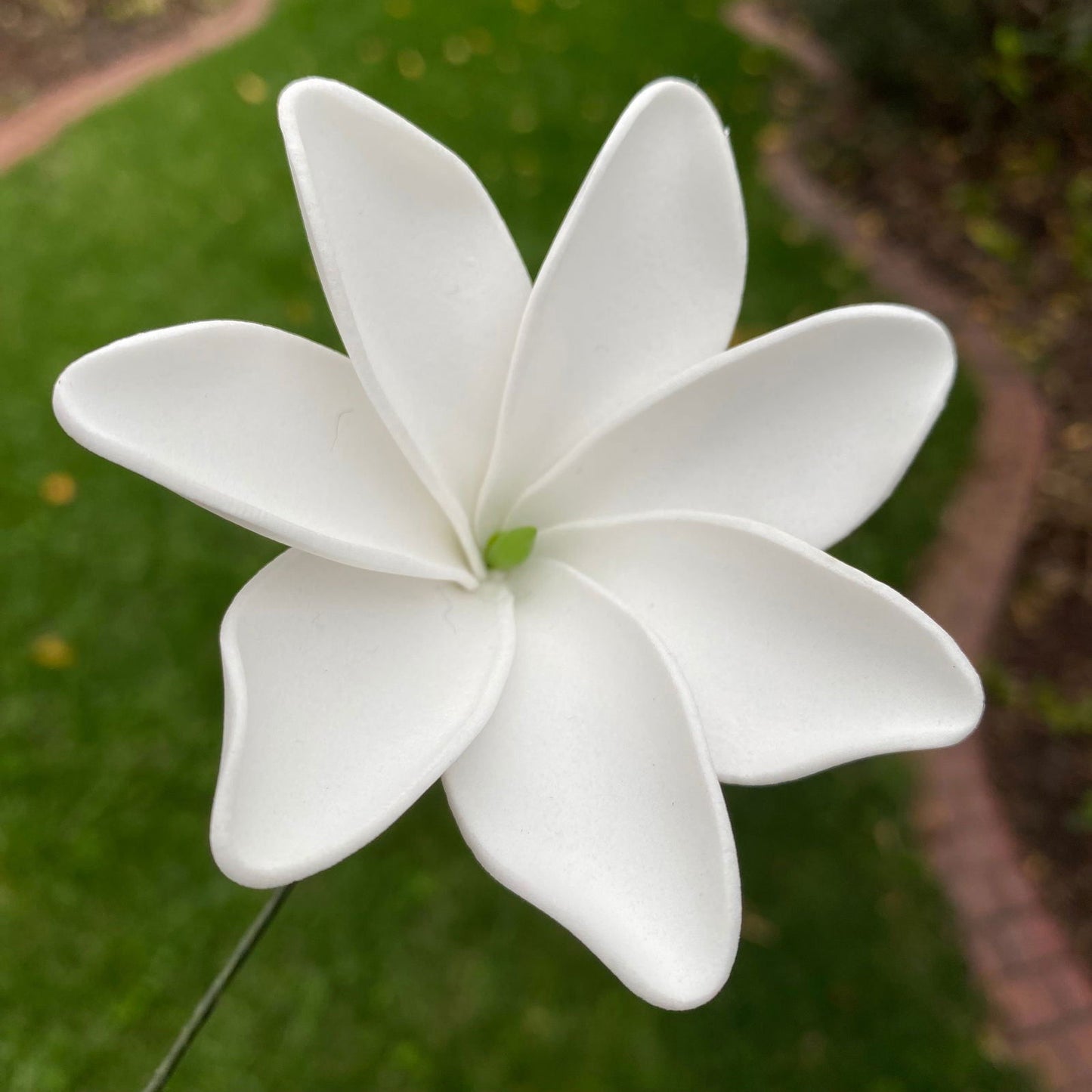 Tiare Sei Foam Flowers 7.5cm Medium - Island Aesthetica