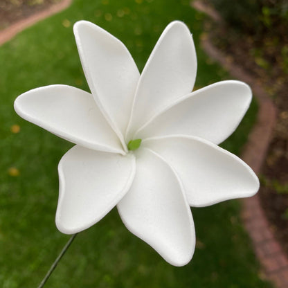 Tiare Sei Foam Flowers 7.5cm Medium - Island Aesthetica