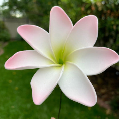 Tiare Sei Foam Flowers 7.5cm Medium - Island Aesthetica