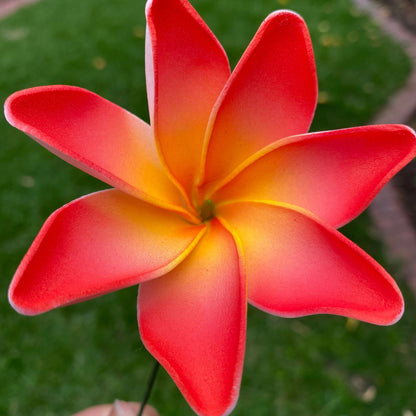 Tiare Sei Foam Flowers 7.5cm Medium - Island Aesthetica