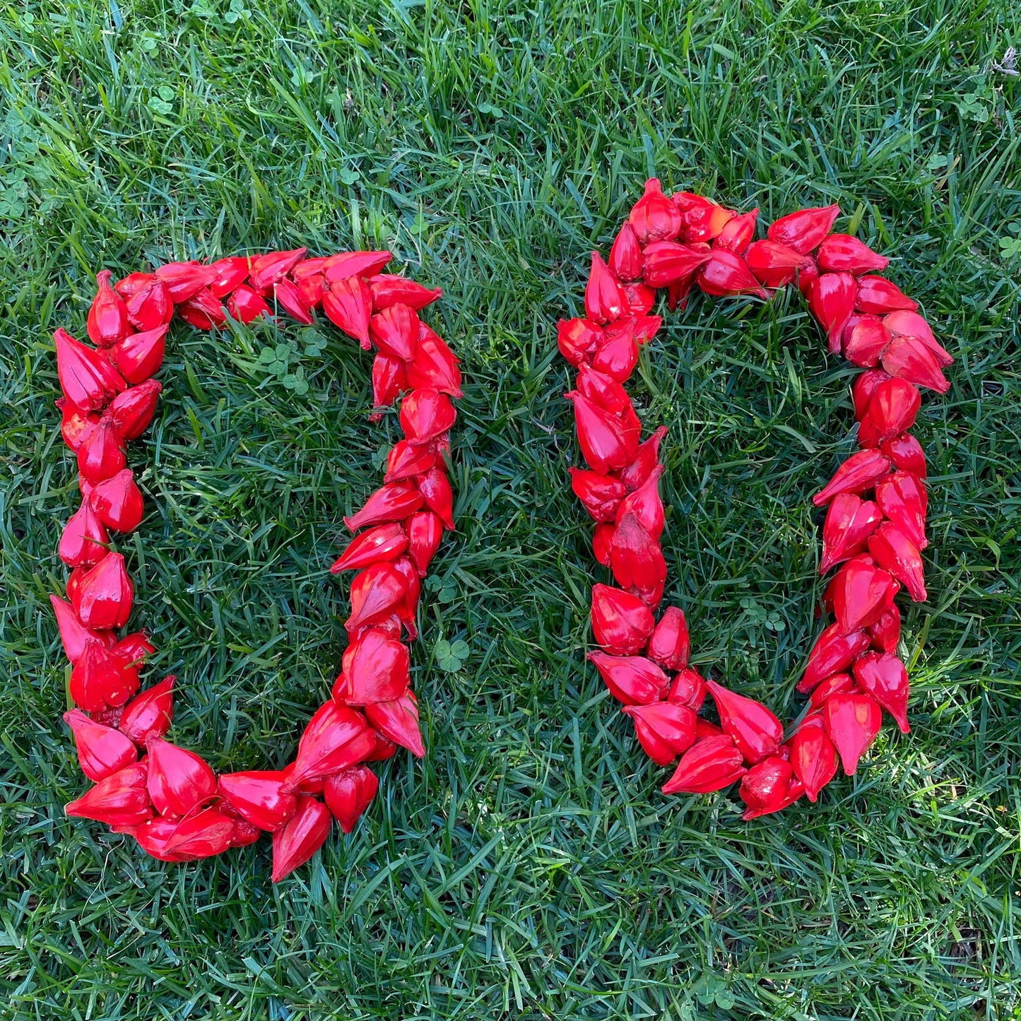 Ula Fala Mens Handmade Natural Seed Traditional Lei Samoan Tongan Chief Necklace - Island Aesthetica