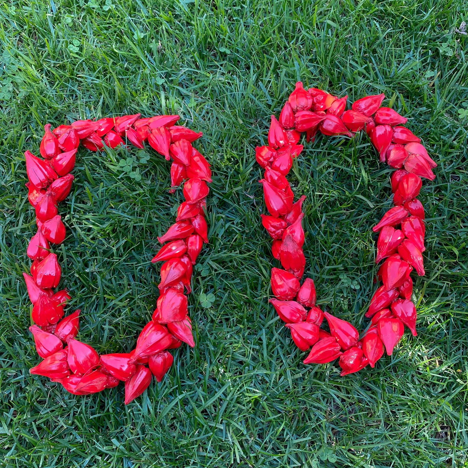 Ula Fala Mens Handmade Natural Seed Traditional Lei Samoan Tongan Chief Necklace - Island Aesthetica