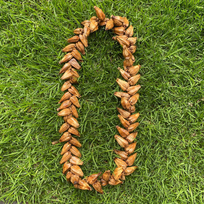 Ula Fala Mens Handmade Natural Seed Traditional Lei Samoan Tongan Chief Necklace - Island Aesthetica