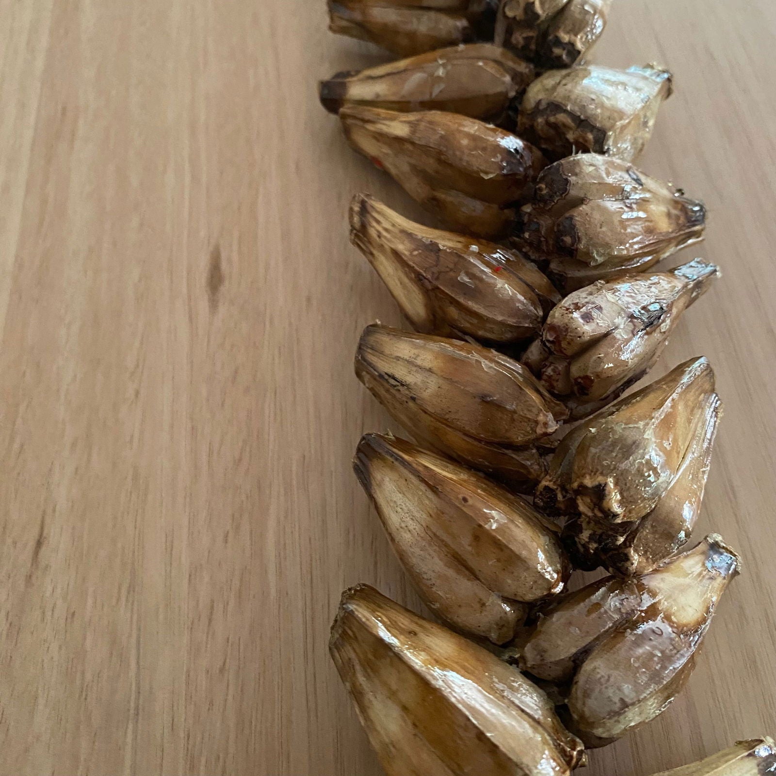 Ula Fala Mens Handmade Natural Seed Traditional Lei Samoan Tongan Chief Necklace - Island Aesthetica