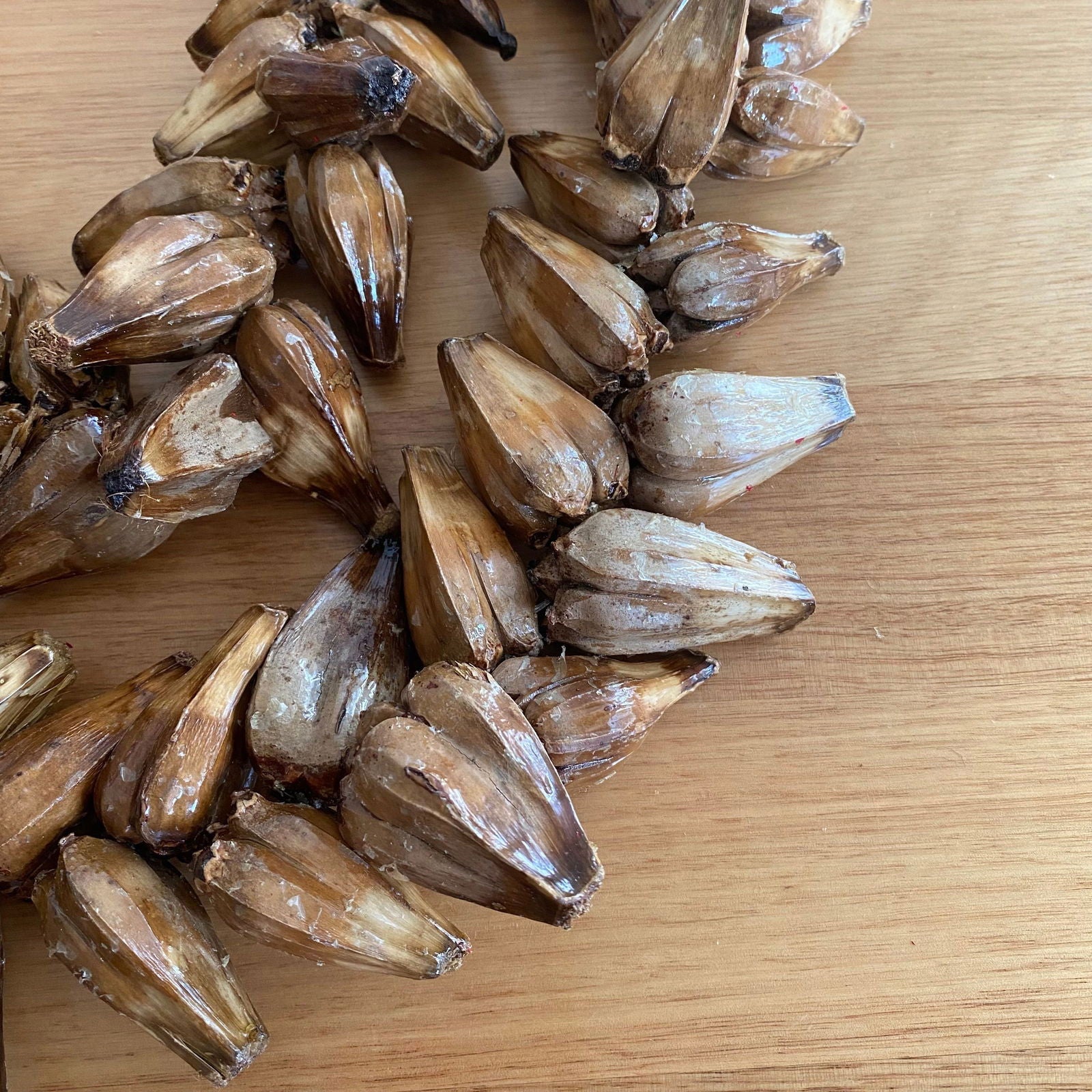 Ula Fala Mens Handmade Natural Seed Traditional Lei Samoan Tongan Chief Necklace - Island Aesthetica