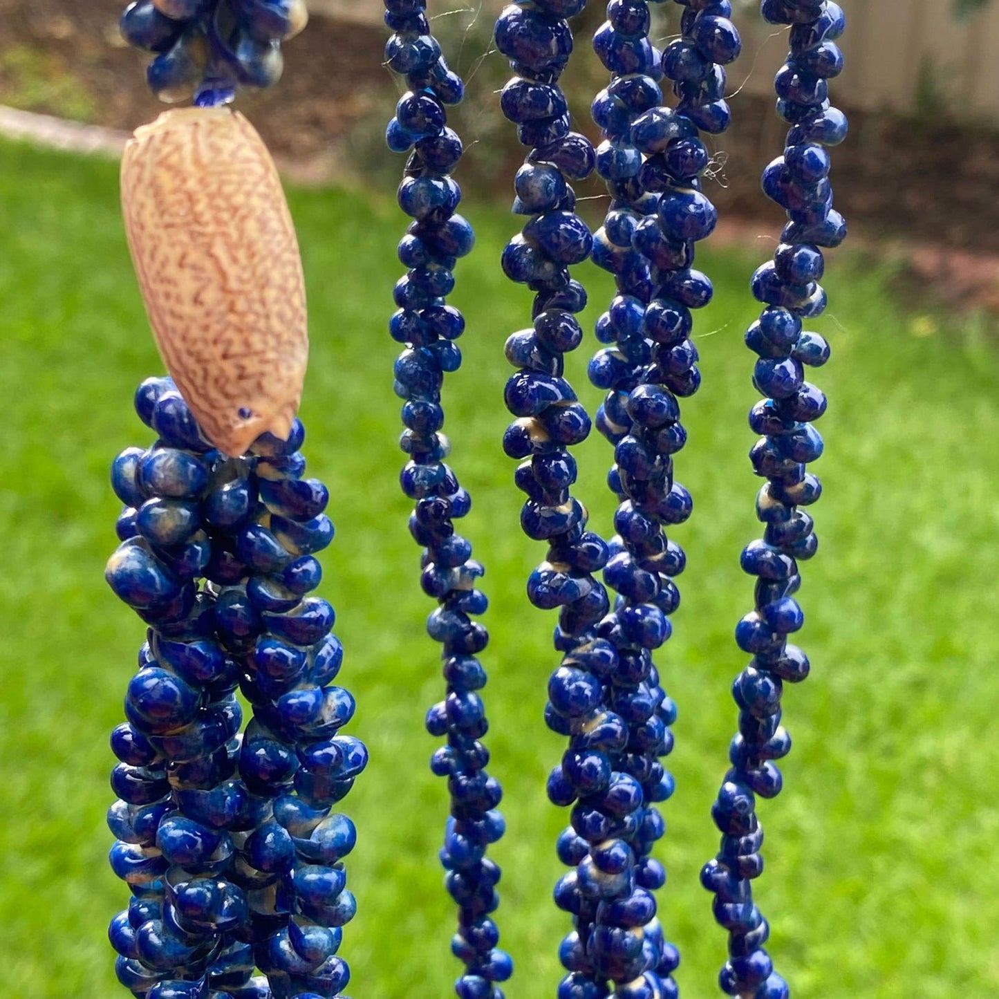 Ula Sisi Shell Necklace 40cm Length - Island Aesthetica