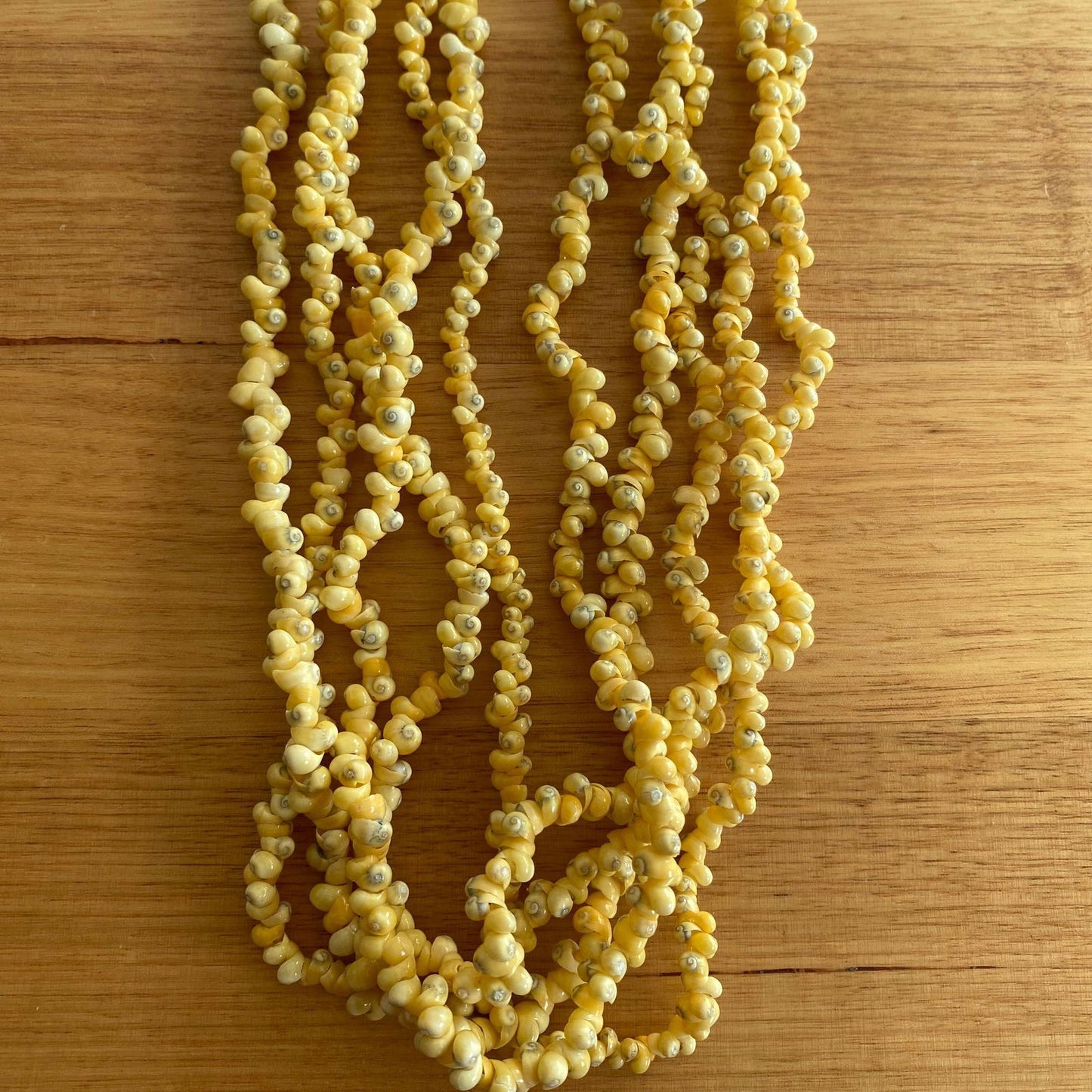 Ula Sisi Shell Necklace 40cm Length - Island Aesthetica