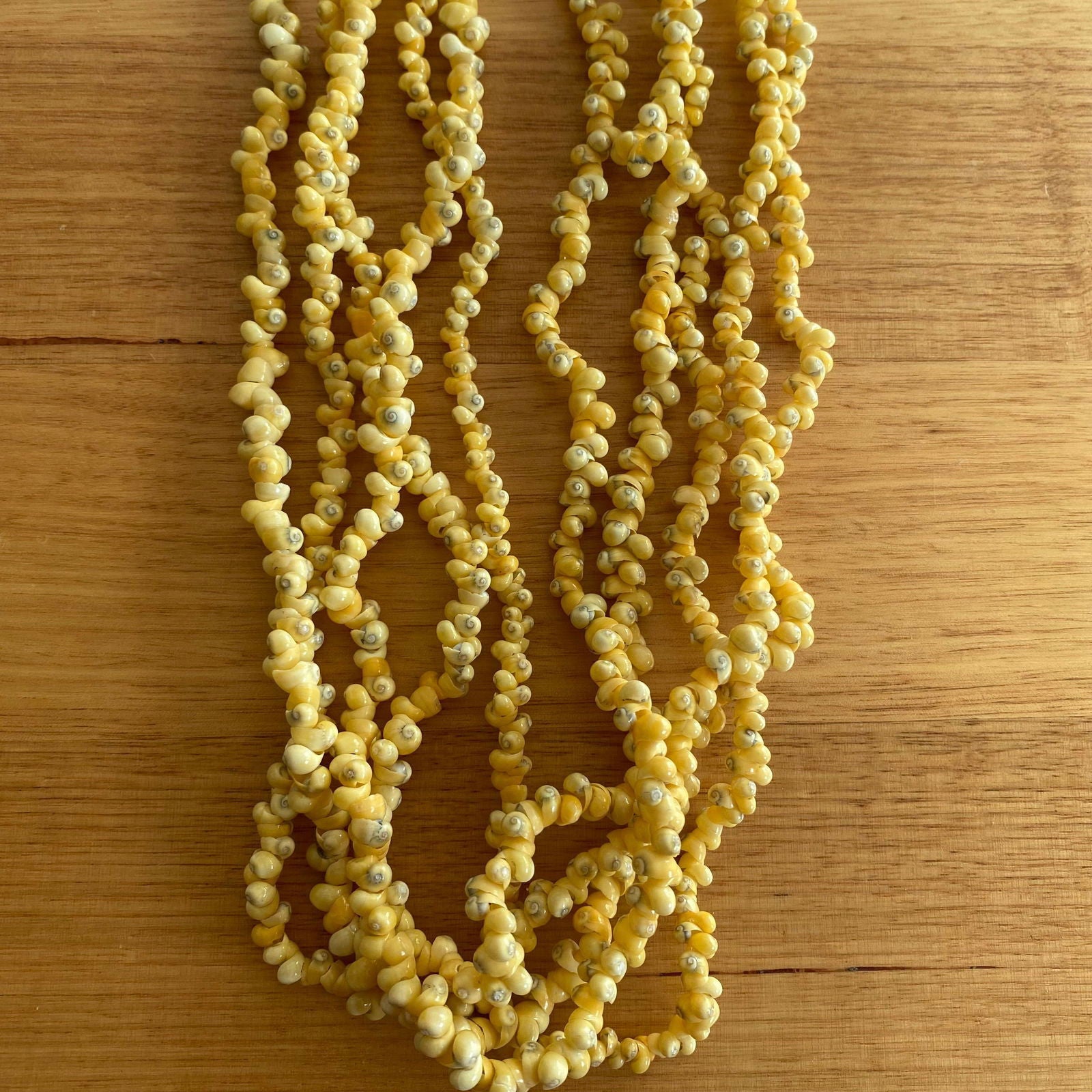 Ula Sisi Shell Necklace 40cm Length - Island Aesthetica