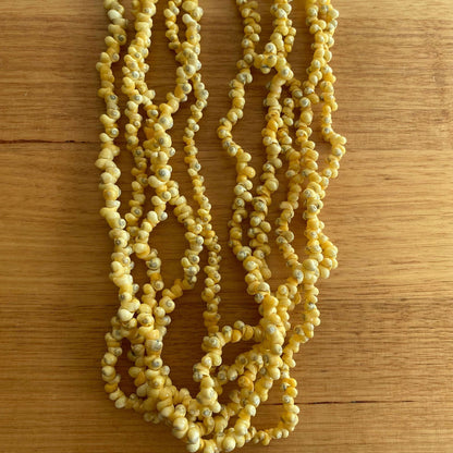 Ula Sisi Shell Necklace 40cm Length - Island Aesthetica